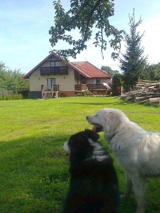 Agroturystyka Sielana Kostrzyca Exterior photo